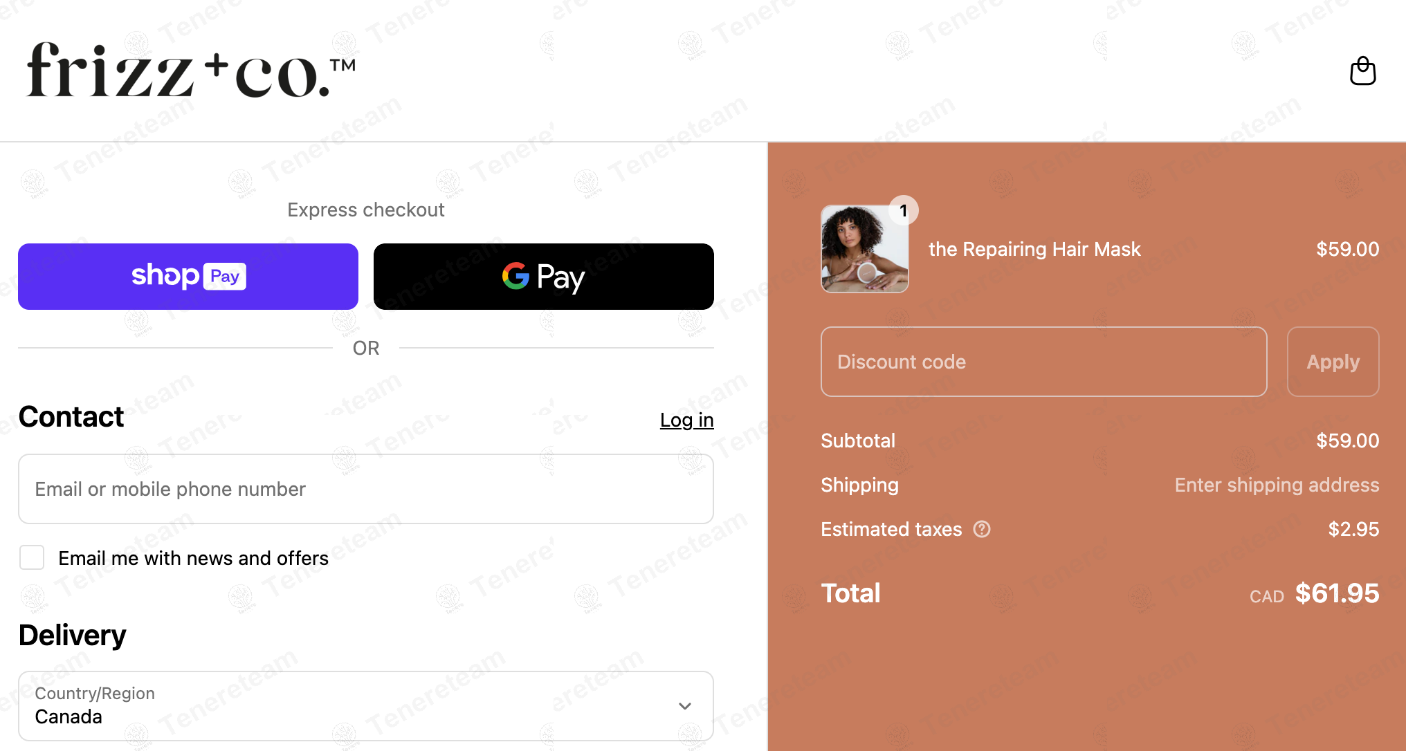 Frizz and Co apply coupon code