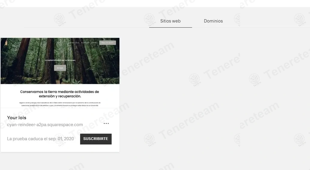 Squarespace apply coupon code